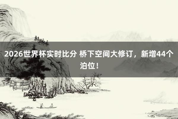 2026世界杯实时比分 桥下空间大修订,新增44个泊位!