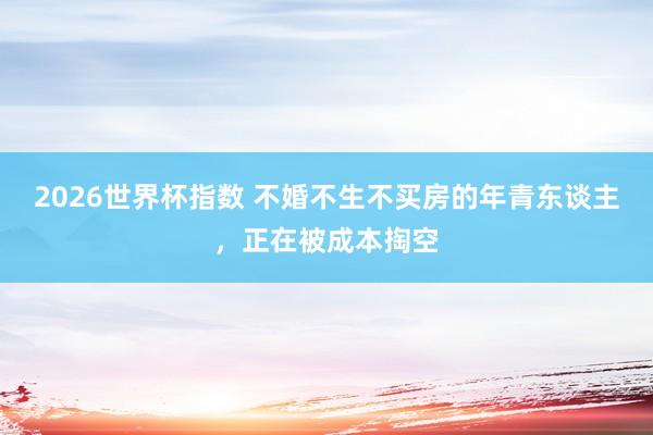 2026世界杯指数 不婚不生不买房的年青东谈主，正在被成本掏空