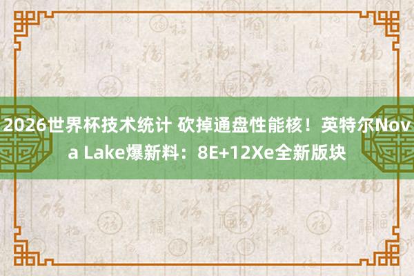 2026世界杯技术统计 砍掉通盘性能核!英特尔Nova Lake爆新料:8E+12Xe全新版块