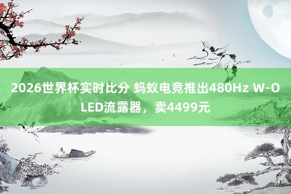 2026世界杯实时比分 蚂蚁电竞推出480Hz W-OLED流露器,卖4499元