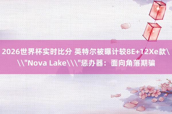 2026世界杯实时比分 英特尔被曝计较8E+12Xe款\