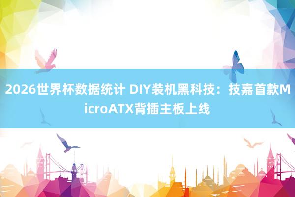2026世界杯数据统计 DIY装机黑科技:技嘉首款MicroATX背插主板上线