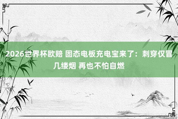 2026世界杯欧赔 固态电板充电宝来了:刺穿仅冒几缕烟 再也不怕自燃