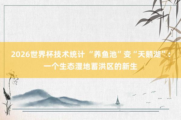 2026世界杯技术统计 “养鱼池”变“天鹅湖”:一个生态湿地蓄洪区的新生