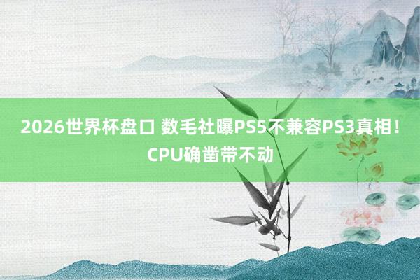 2026世界杯盘口 数毛社曝PS5不兼容PS3真相!CPU确凿带不动