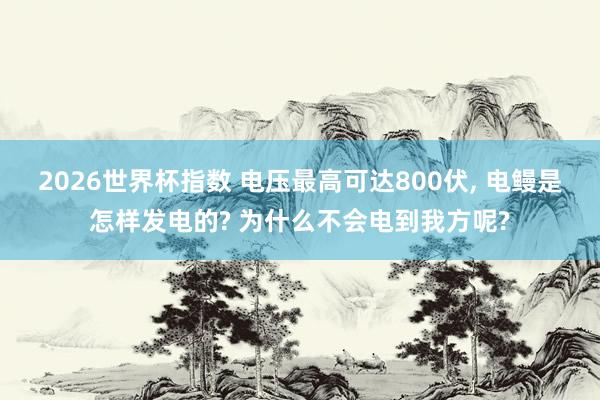 2026世界杯指数 电压最高可达800伏, 电鳗是怎样发电的? 为什么不会电到我方呢?