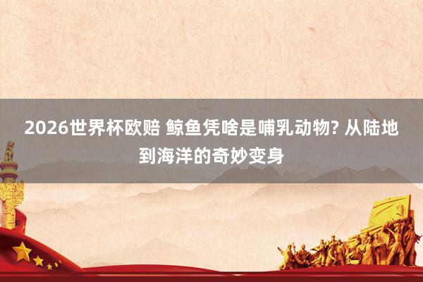 2026世界杯欧赔 鲸鱼凭啥是哺乳动物? 从陆地到海洋的奇妙变身