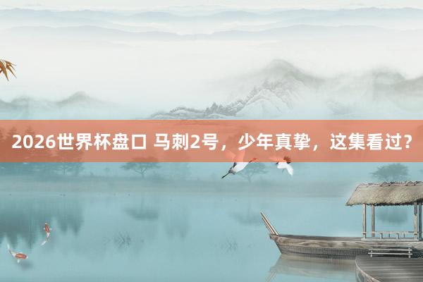 2026世界杯盘口 马刺2号,少年真挚,这集看过?