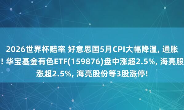 2026世界杯赔率 好意思国5月CPI大幅降温， 通胀压力权臣缓释! 华宝基金有色ETF(159876)盘中涨超2.5%， 海亮股份等3股涨停!