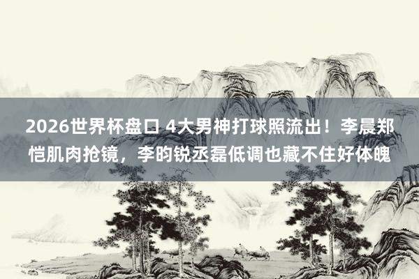 2026世界杯盘口 4大男神打球照流出！李晨郑恺肌肉抢镜，李昀锐丞磊低调也藏不住好体魄