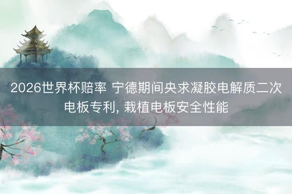 2026世界杯赔率 宁德期间央求凝胶电解质二次电板专利, 栽植电板安全性能