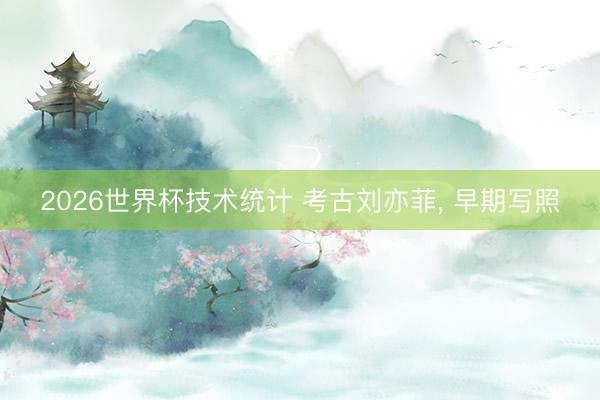 2026世界杯技术统计 考古刘亦菲，<a href=