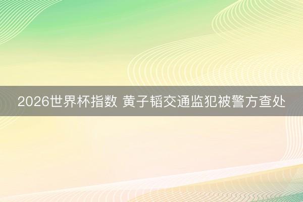 2026世界杯指数 黄子韬交通监犯被警方查处